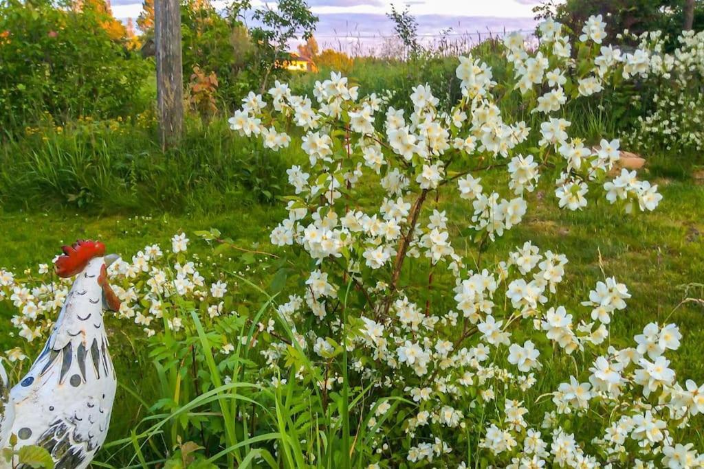 Kalliorannan Lomapirtti Keitele Buitenkant foto